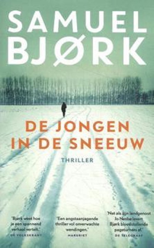 De jongen in de sneeuw